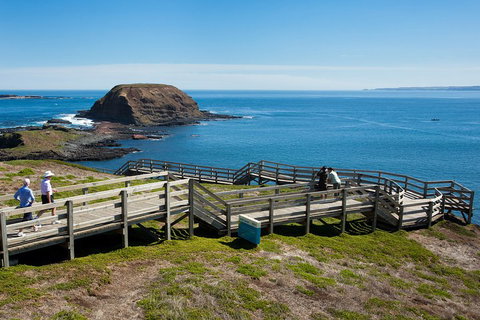 Melbourne Combo: Great Ocean Road, Puffing Billy, Moonlit Sanctuary & Penguins - Lismore Accommodation 5