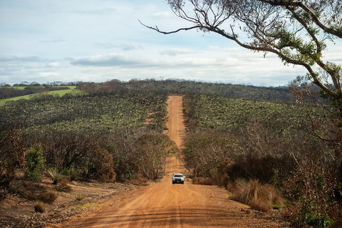 NEW TOUR - Kangaroo Island Road To Recovery Tour (1 Day/1 Night) - Lismore Accommodation 2