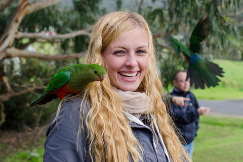 Great Ocean Road Reverse Itinerary With 12 Apostles From Melbourne - Lismore Accommodation 0