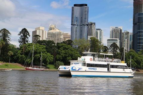 Lone Pine Koala Sanctuary Admission With Brisbane River Cruise - Lismore Accommodation 2