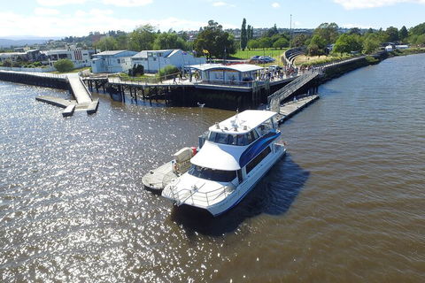2.5 Hour Morning Discovery Cruise Including Sailing Into The Cataract Gorge - Lismore Accommodation 3
