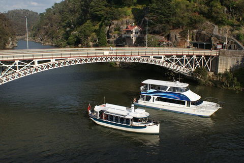 2.5 Hour Morning Discovery Cruise Including Sailing Into The Cataract Gorge - Lismore Accommodation 5