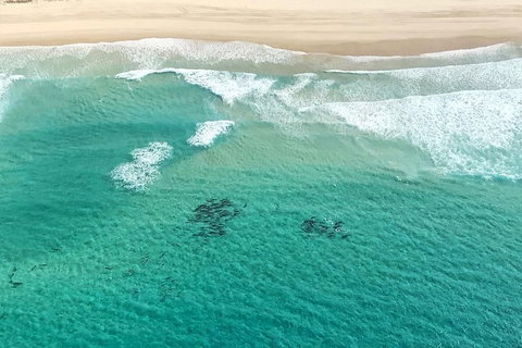 Coastal Helicopter Shared Flight - 20 Minutes - Lismore Accommodation 4