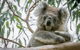 Great Ocean Road & Grampians National Park Tour - 3 Days, 2 Nights - thumb 2
