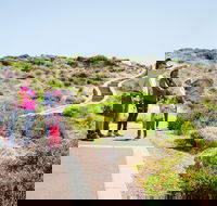 Margaret River Coastal and Wildlife Eco Trip from Busselton or Dunsborough - Lismore Accommodation