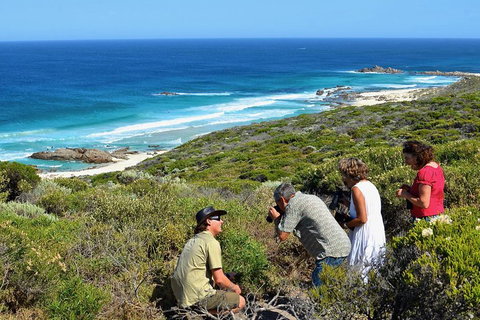 Margaret River Coastal And Wildlife Eco Trip From Busselton Or Dunsborough - Lismore Accommodation 2